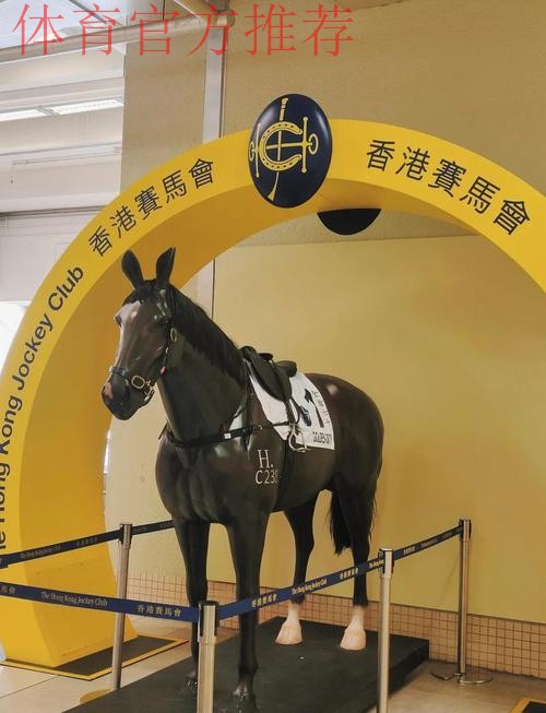 香港赛区一张门票可看多场比赛